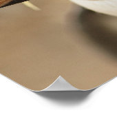 Rockhopper Penguin Poster (Ecke)