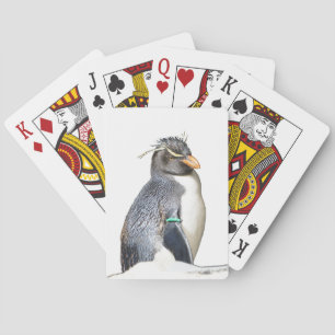 Rockhopper Penguin Spielkarten