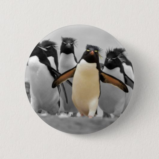 Rockhopper Penguins Button (Vorderseite)