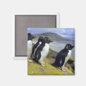 Rockhopper Penguins (Eudyptes chrysocome), Magnet (Vorderseite/Rückseite)