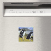 Rockhopper Penguins (Eudyptes chrysocome), Magnet (In Situ (Geschirrspüler))
