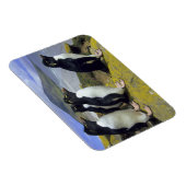 Rockhopper Penguins (Eudyptes chrysocome), Magnet (Rechte Seite)
