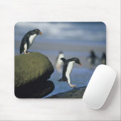 Rockhopper Penguins, Eudyptes chrysocome), Mousepad (Mit Mouse)