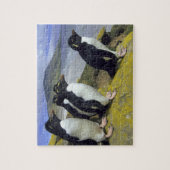 Rockhopper Penguins (Eudyptes chrysocome), Puzzle (Vertikal)