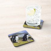 Rockhopper Penguins (Eudyptes chrysocome), Untersetzer (Rechte Seite)