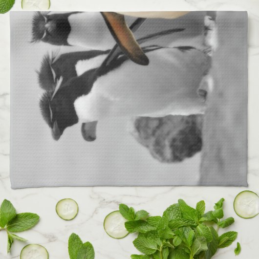 Rockhopper Penguins Küchentuch (Gefaltet)