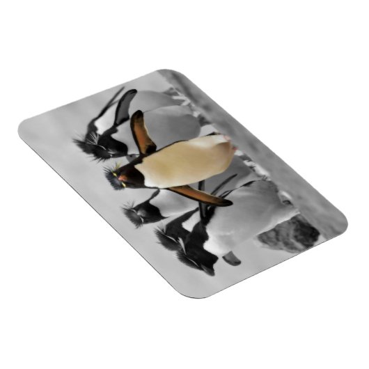 Rockhopper Penguins Magnet (Rechte Seite)