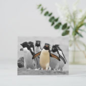 Rockhopper Penguins Postkarte (Stehend Vorderseite)