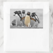 Rockhopper Penguins Rechteckiger Aufkleber (Tasche)