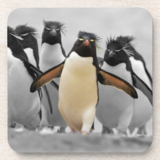 Rockhopper Penguins Untersetzer (Vorderseite)