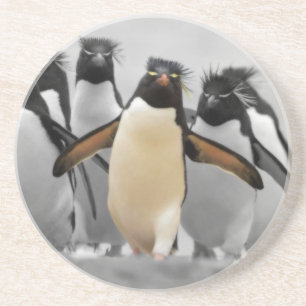 Rockhopper Penguins Untersetzer