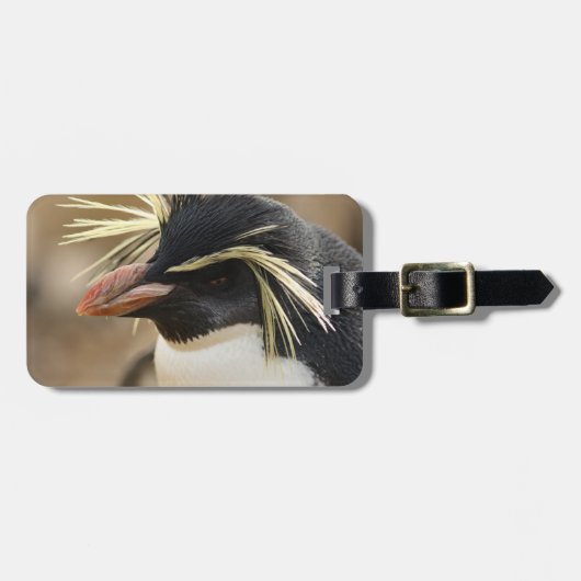 Rockhopper Pinguin-Gepäckanhänger Gepäckanhänger (Vorderseite horizontal)