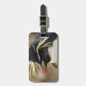 Rockhopper Pinguin-Gepäckanhänger Gepäckanhänger (Vorderseite vertikal)