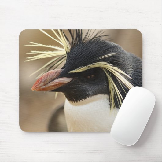Rockhopper Pinguin-Mausunterlage Mousepad (Mit Mouse)