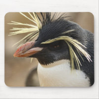 Rockhopper Pinguin-Mausunterlage
