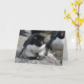 Rockhopper Pinguin mit Küken Karte (Gelbe Blume)