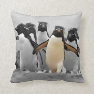 Rockhopper Pinguine Kissen