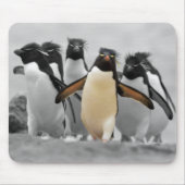 Rockhopper Pinguine Mousepad (Vorne)