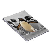 Rockhopper Pinguine Notizblock (Rechte Seite)