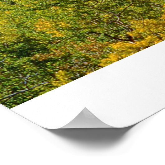 Rockies im Herbst Poster (Ecke)