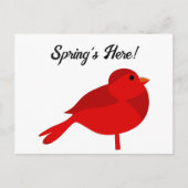 Rockin’ Robin, Niedlich Red Kardinal Nature Cartoo Postkarte (Vorderseite)