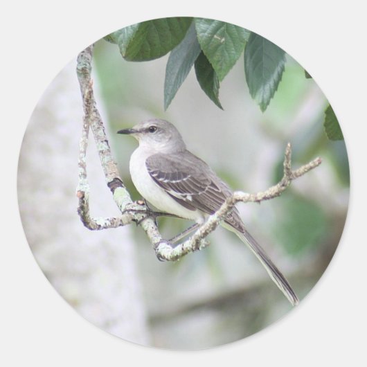 Rockingbird Round Stickers (Vorderseite)