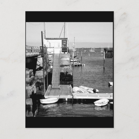 Rockland Harbor Postkarte (Vorderseite)