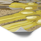 Rockpool Poster (Ecke)