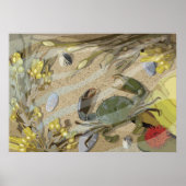 Rockpool Poster (Vorne)