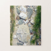 Rockpool Puzzle (Vertikal)