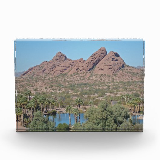 Rocks Arizona Palm Tree Landschaft Foto Wüste (Vorderseite)