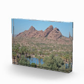 Rocks Arizona Palm Tree Landschaft Foto Wüste (Rechts)