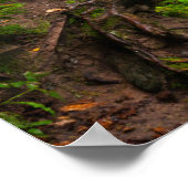 Rocks National Lakeshore, Sable Falls Poster (Ecke)