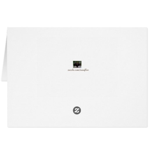 Rocks Streams Card (Rückseite Horizontal)