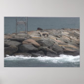Rocks with Birds Ocean Waterscape Poster (Vorne)