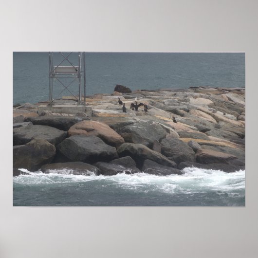 Rocks with Birds Ocean Waterscape Poster (Vorne)