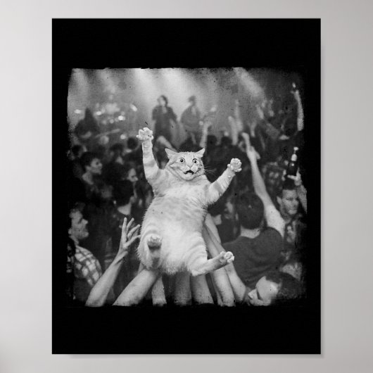 Rockshow-Katzen-Meme Lustiger Humor Tabby-Katze Me Poster (Vorne)