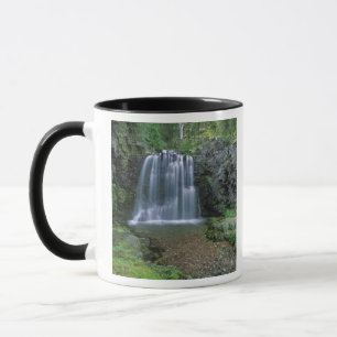 Rockwell Falls im Two Medicine Valley von Tasse
