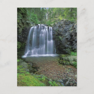 Rockwell Falls im Zwei-Medizin-Tal Postkarte