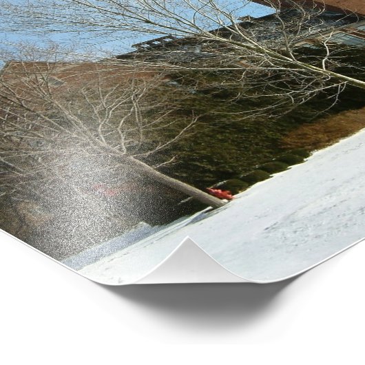 Rockwell im Winter in der Grove City Uni Fotodruck (Ecke)