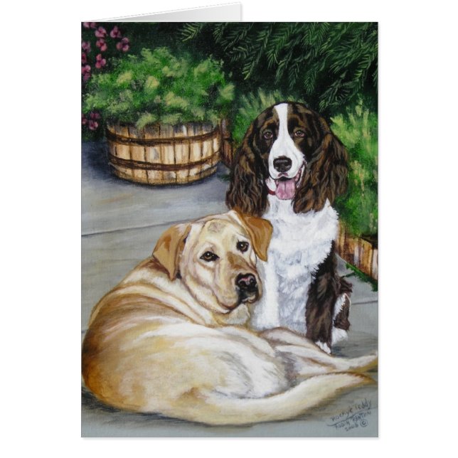 Rocky and Teddy (Vorne)