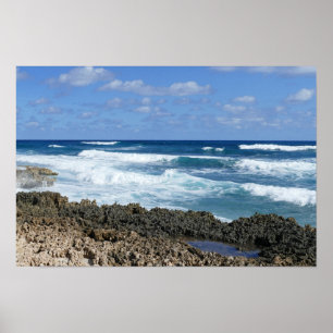 Rocky Bahamas Strand, Great Abaco Island Poster