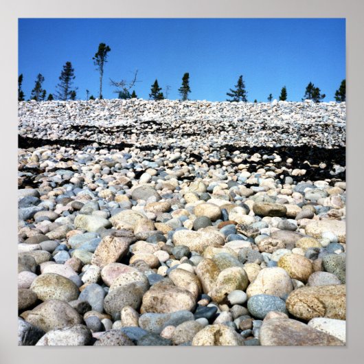 Rocky Beach Scene Poster (Vorne)