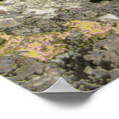 Rocky Field Poster (Ecke)