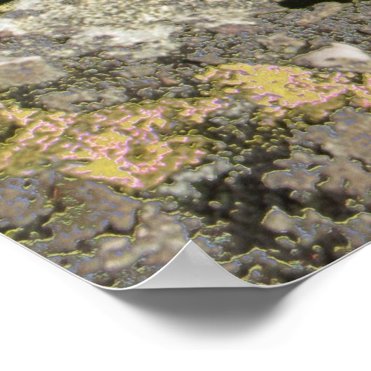 Rocky Field Poster (Ecke)