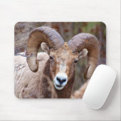 Rocky Mountain Bighorn Sheep Mousepad (Mit Mouse)