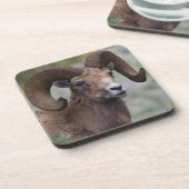Rocky Mountain Bighorn Sheep Ram Untersetzer (Linke Seite)
