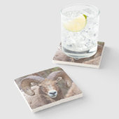 Rocky Mountain Bighorn Sheep Steinuntersetzer (Seitenansicht)