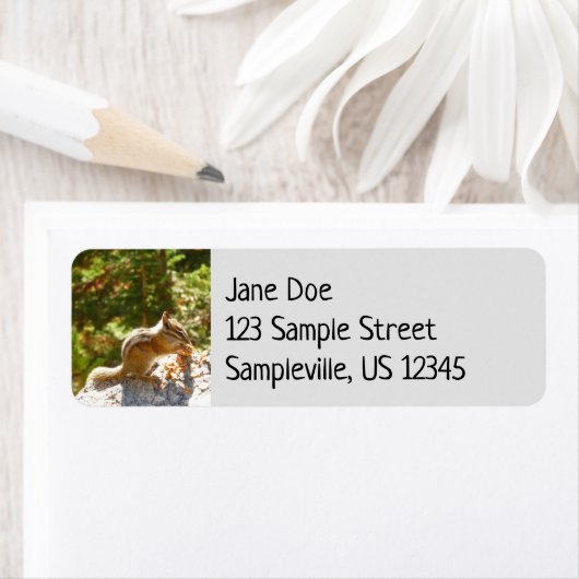 Rocky Mountain Chipmunk (Insitu)