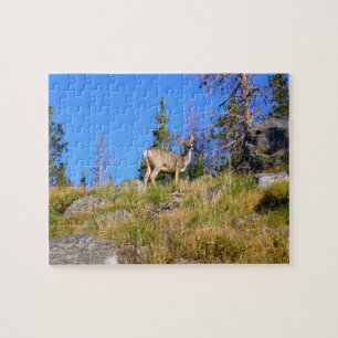 Rocky Mountain Deer Puzzle